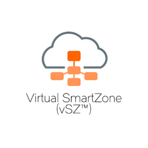 Virtual SmartZone - (vSZ)  network