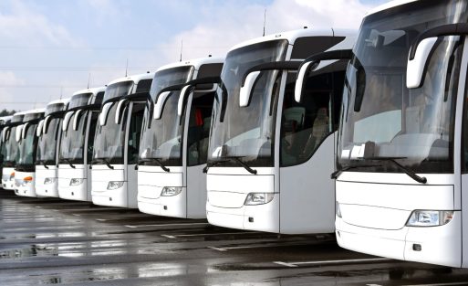 Zing Bus case Study by Signellent